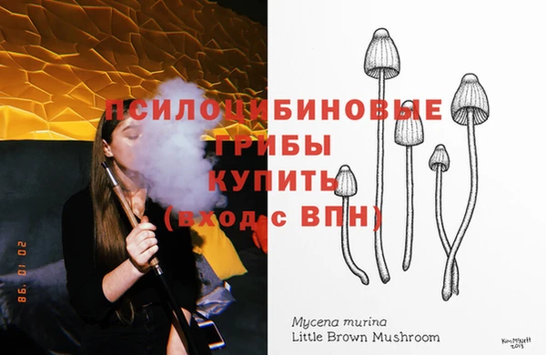 не бодяженный Верхний Тагил