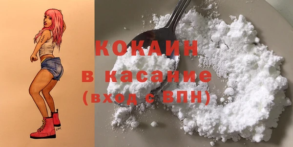 шишки Волосово