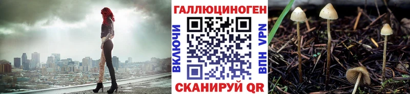 Псилоцибиновые грибы Cubensis  Купить закладки  Кириллов 